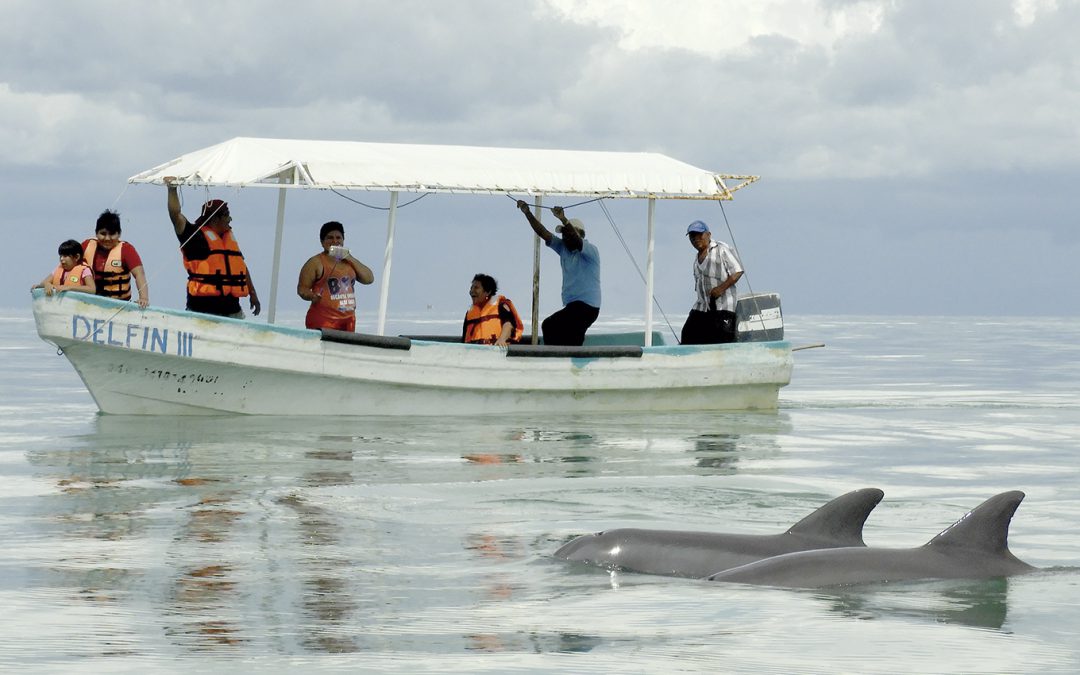 Tour Delfines – Pueblo Mágico