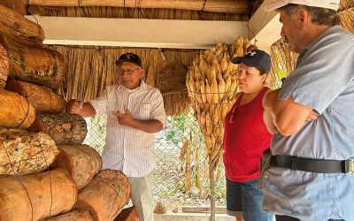 Edzná – Esencia maya